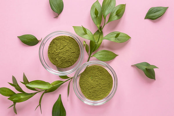 Uncovering The Powerful Potential of Kratom’s Mitragynine Elixir!